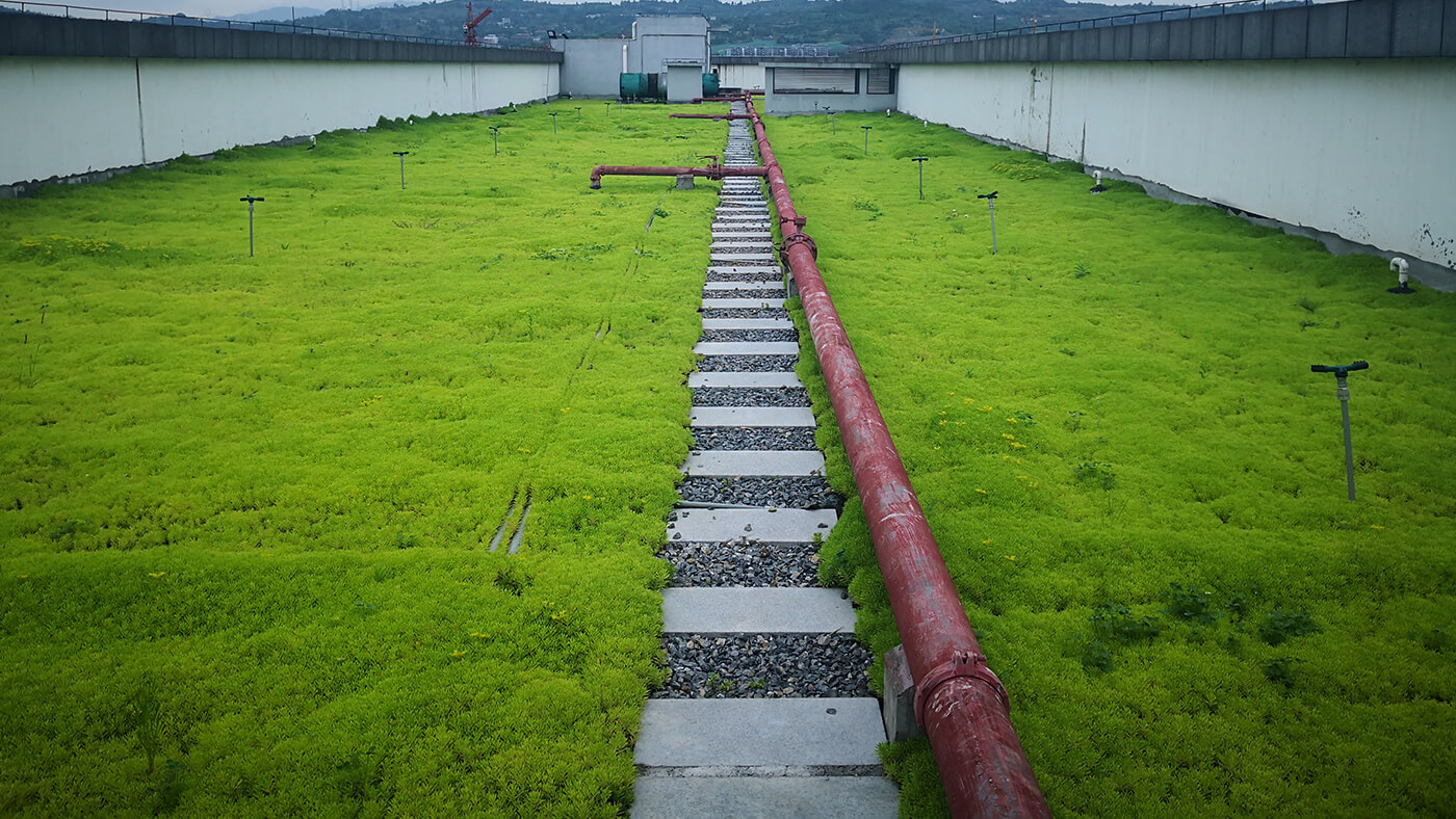 重庆屋顶绿化,重庆立体绿化,重庆轻质屋顶绿化,重庆佛甲草,佛甲草绿化,轻质绿色屋顶解决城市热岛效应 + 提高城市品位｜重庆璧山人民法院屋顶绿化项目