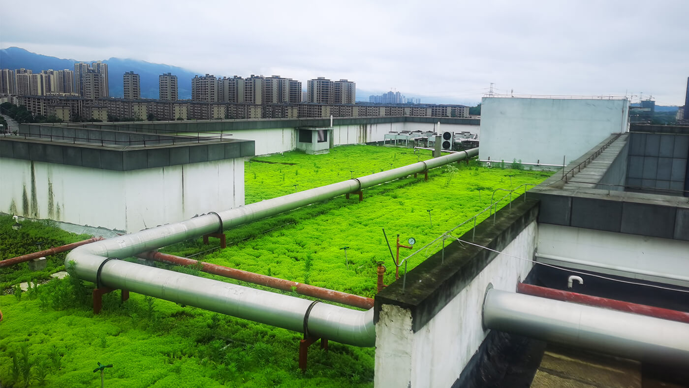 重庆屋顶绿化,重庆立体绿化,重庆轻质屋顶绿化,重庆佛甲草,佛甲草绿化,轻质绿色屋顶解决城市热岛效应 + 提高城市品位｜重庆璧山人民法院屋顶绿化项目