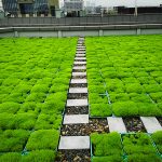 重庆屋顶绿化