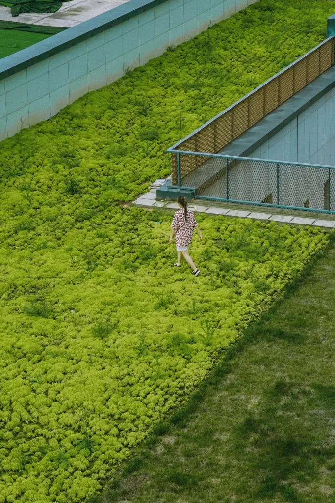 成都屋顶绿化,成都海绵城市绿化