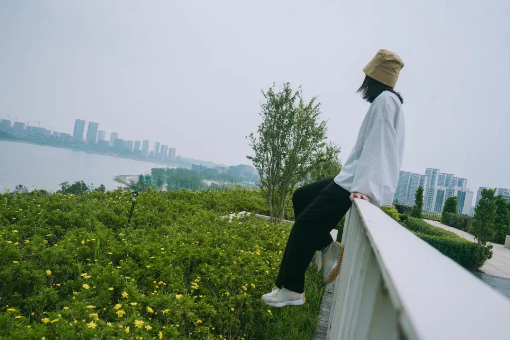 成都楼顶绿化,成都屋顶绿化,成都楼顶绿化公司,成都佛甲草绿化