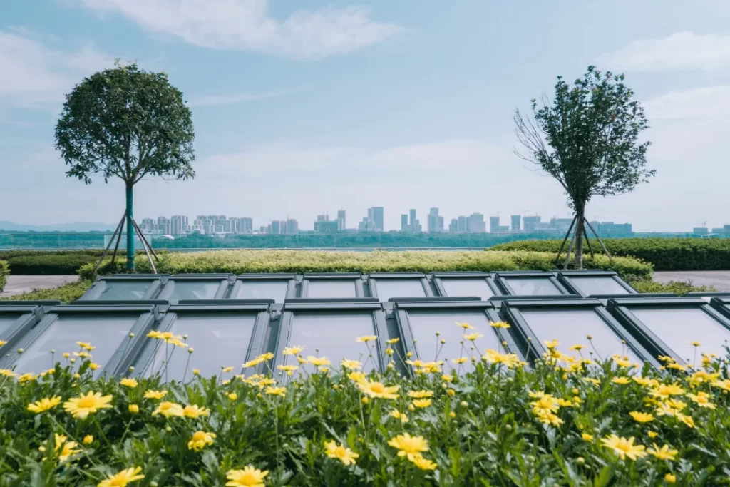 成都楼顶绿化,成都屋顶绿化