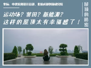 运动场？菜田？新能源？这样的屋顶绿化太幸福！