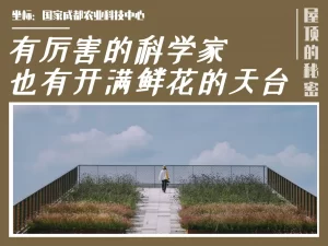 有厉害的科学家，也有的佛甲草的海洋！