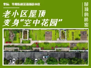 老小区屋顶绿化，变身“空中花园”