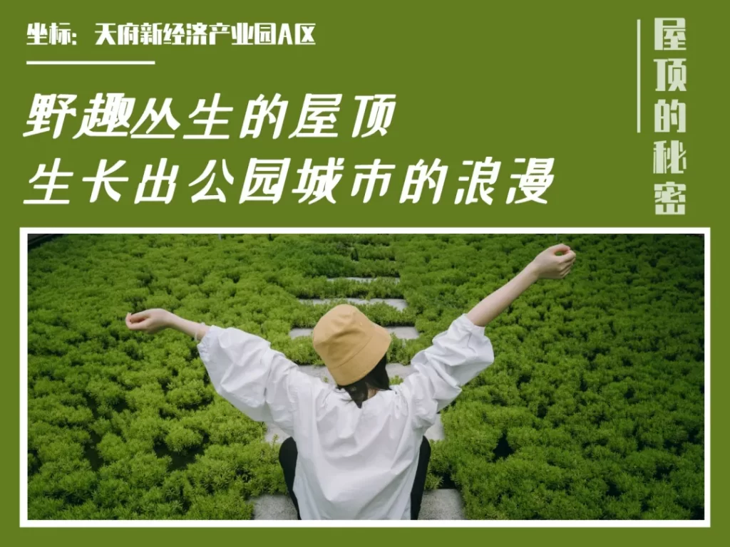 成都屋顶绿化_屋顶佛甲草绿化