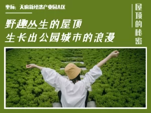 野趣丛生的屋顶，生长出城市的浪漫