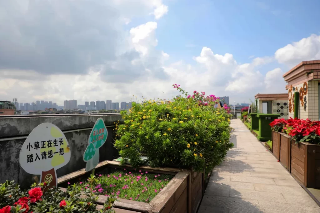 成都楼顶绿化,成都屋顶绿化