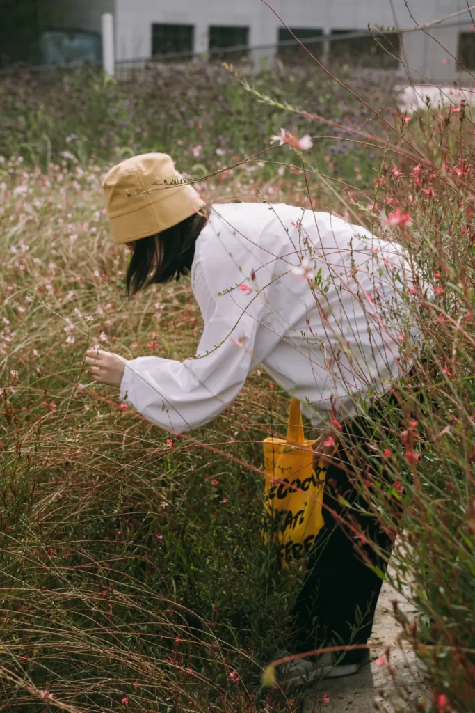 屋顶轻质绿化_成都屋顶花园