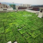 重庆屋顶绿化