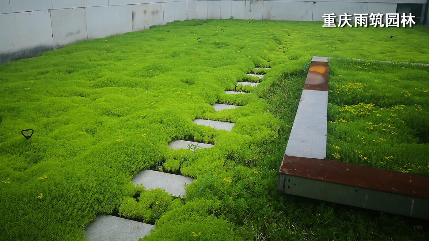 重庆屋顶绿化,重庆立体绿化,重庆轻质屋顶绿化,重庆佛甲草,佛甲草绿化,轻质绿色屋顶改善城市生态 + 提高城市品位｜重庆璧山绿岛新区管委会屋顶绿化项目