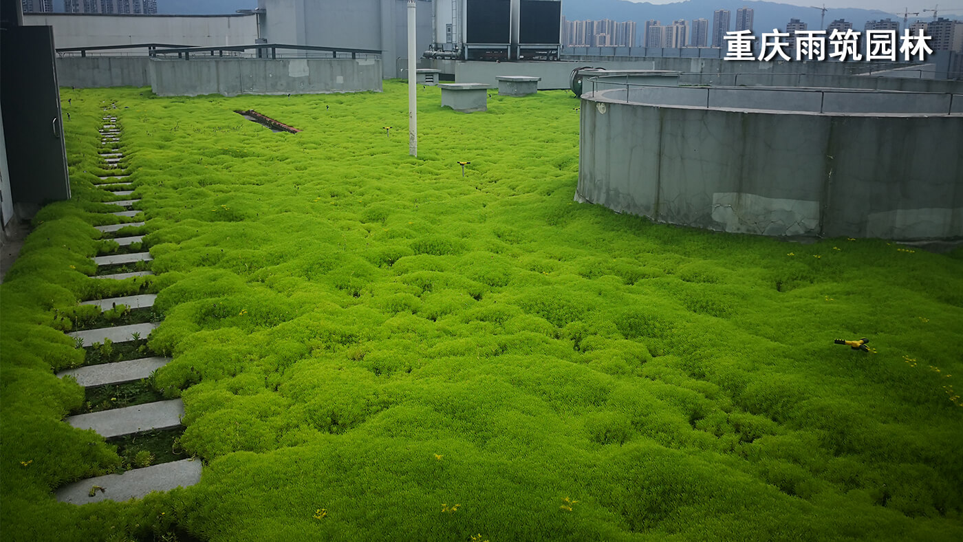 重庆屋顶绿化,重庆立体绿化,重庆轻质屋顶绿化,重庆佛甲草,佛甲草绿化,轻质绿色屋顶改善城市生态 + 提高城市品位｜重庆璧山绿岛新区管委会屋顶绿化项目