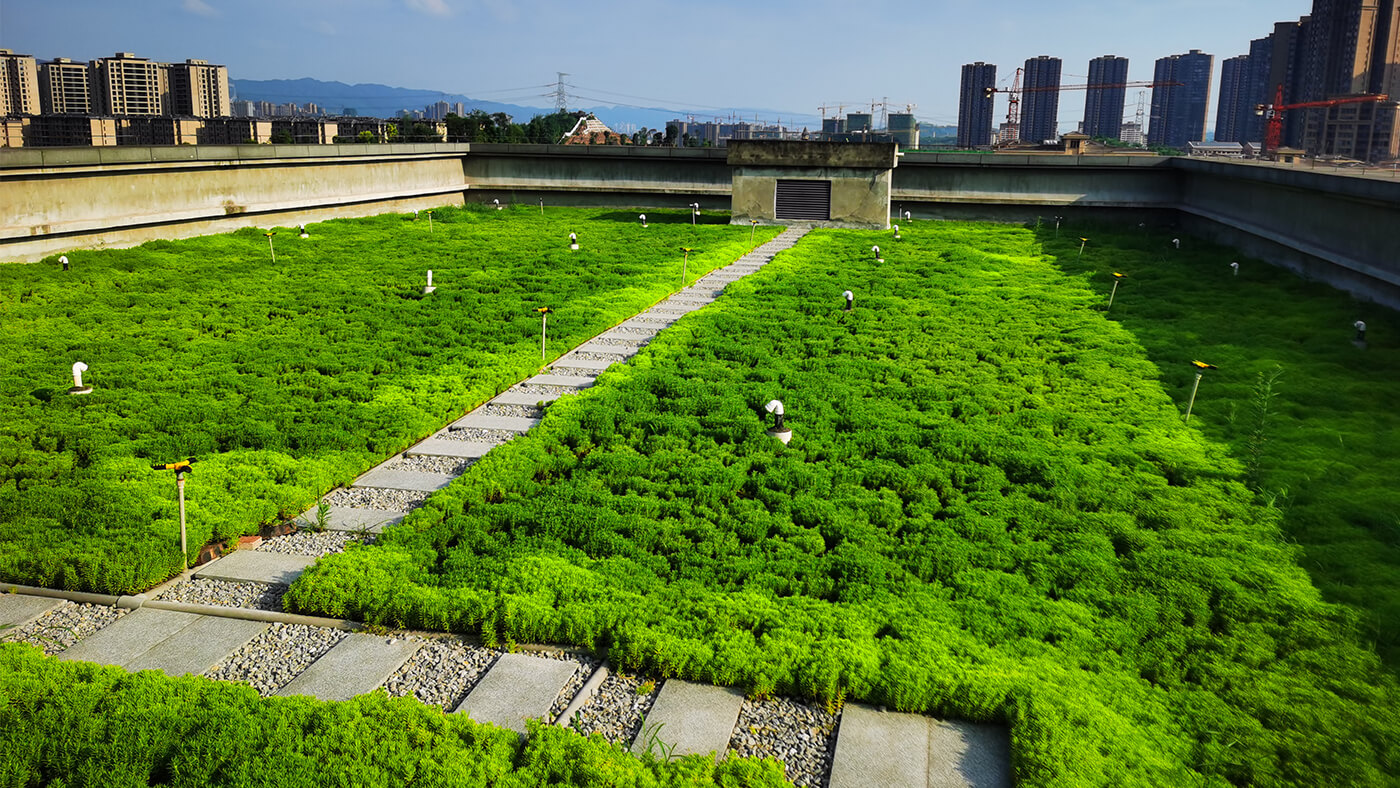 重庆屋顶绿化,重庆立体绿化,重庆轻质屋顶绿化,重庆佛甲草,佛甲草绿化,轻质绿色屋顶重新定义可持续建筑和雨水管理｜重庆璧山人民检察院屋顶绿化项目