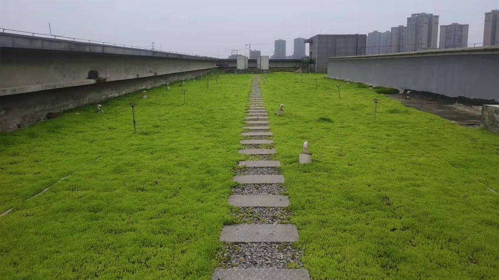 重庆屋顶绿化,重庆立体绿化,重庆轻质屋顶绿化,重庆佛甲草,佛甲草绿化,轻质绿色屋顶
