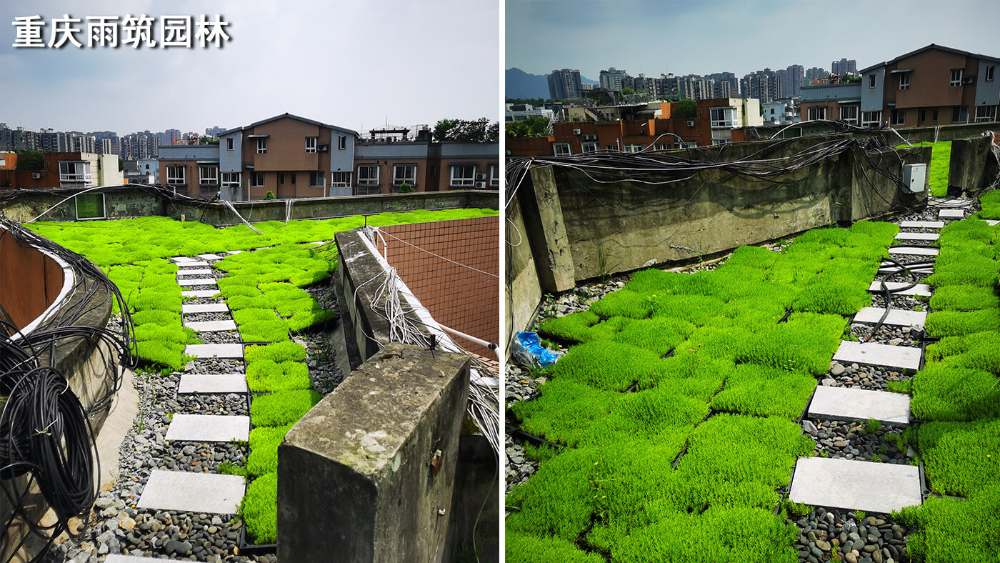 重庆屋顶绿化,重庆立体绿化,重庆轻质屋顶绿化,重庆佛甲草,佛甲草绿化,轻质绿色屋顶改善城市生态 + 海绵城市示范点｜重庆璧山绿岛新区管委会屋顶绿化项目