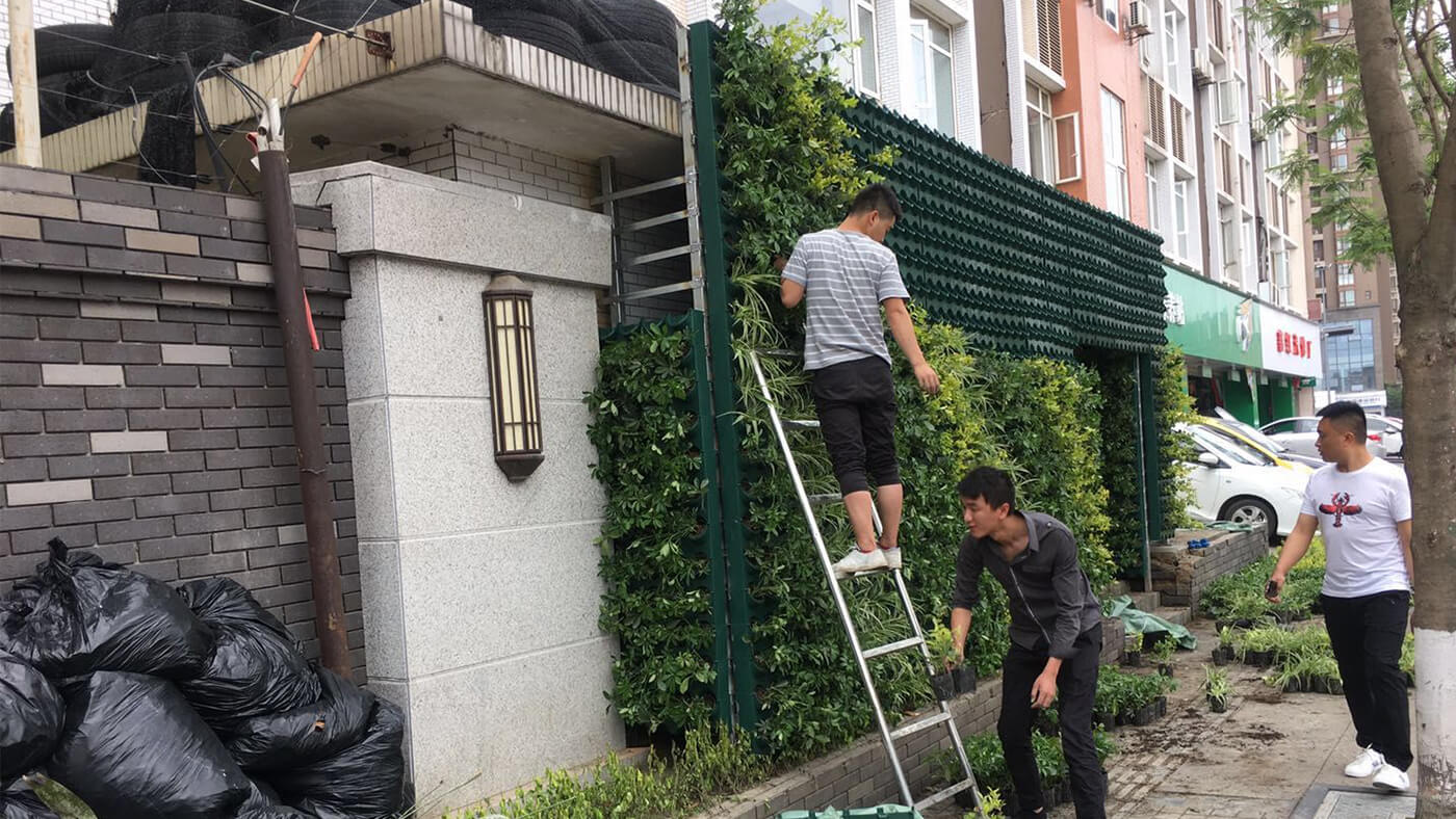成都立体绿化_立体绿化丰富了城市绿化的形态｜武侯区植物墙绿化项目