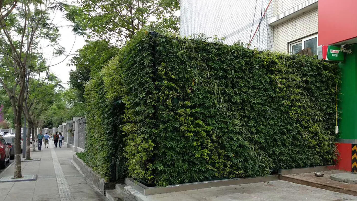 成都立体绿化_立体绿化丰富了城市绿化的形态｜武侯区植物墙绿化项目