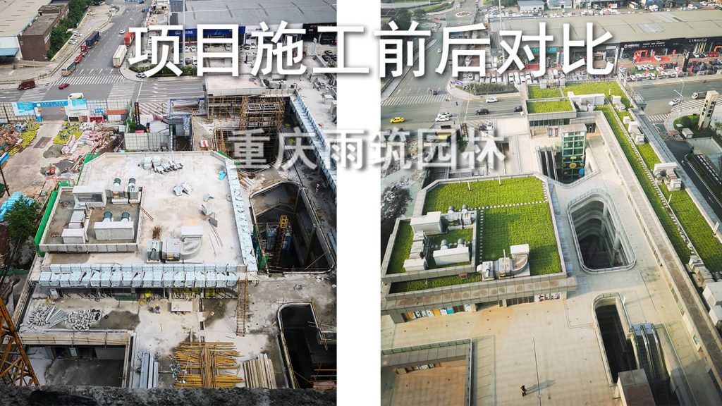 营造有生命力的城市第五面｜重庆市两江新区两江中...
