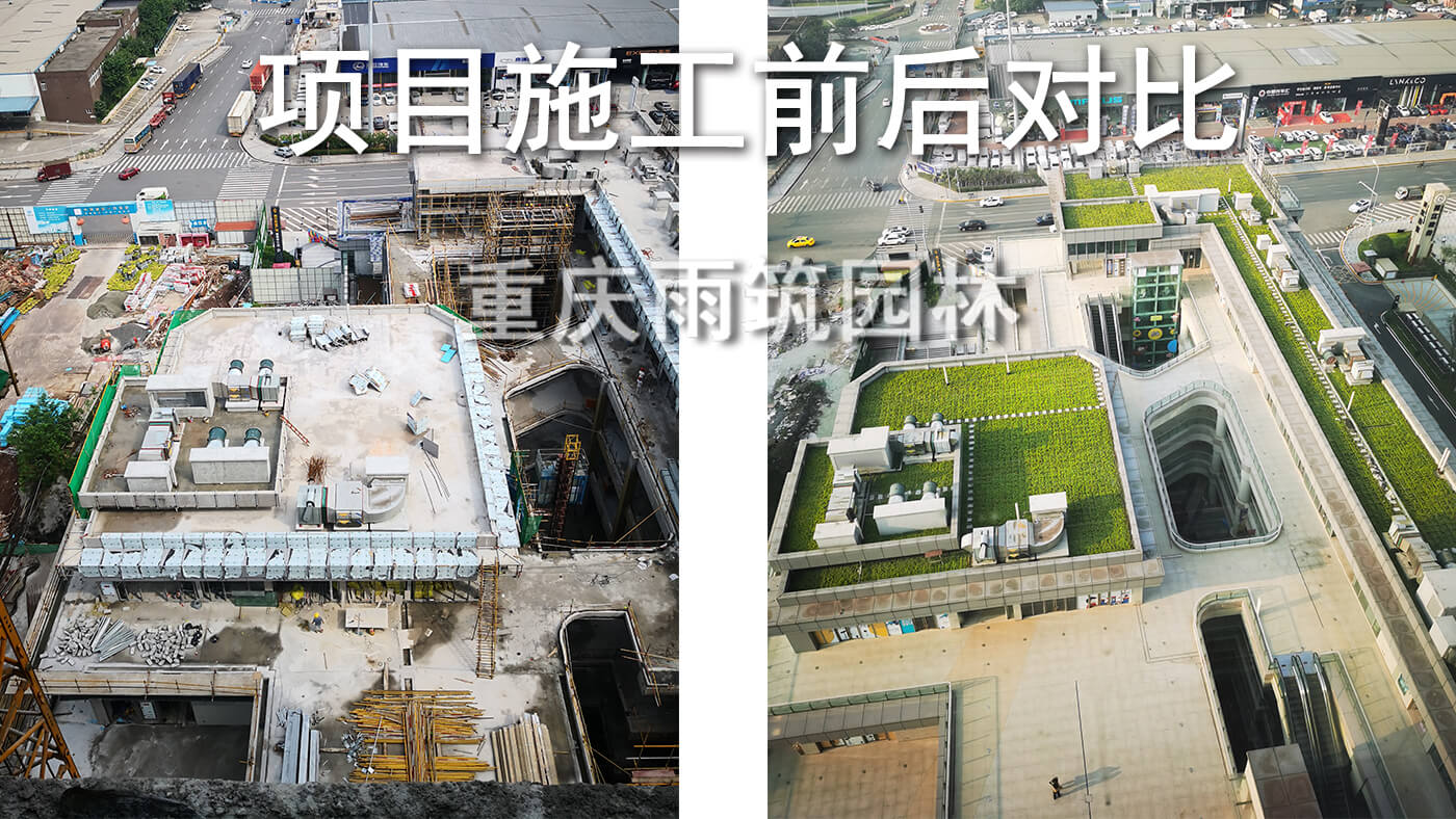 重庆屋顶绿化,重庆立体绿化,重庆轻质屋顶绿化,重庆佛甲草,佛甲草绿化,轻质绿色屋顶营造有生命力的城市第五面｜重庆市两江新区两江中迪广场一期项目