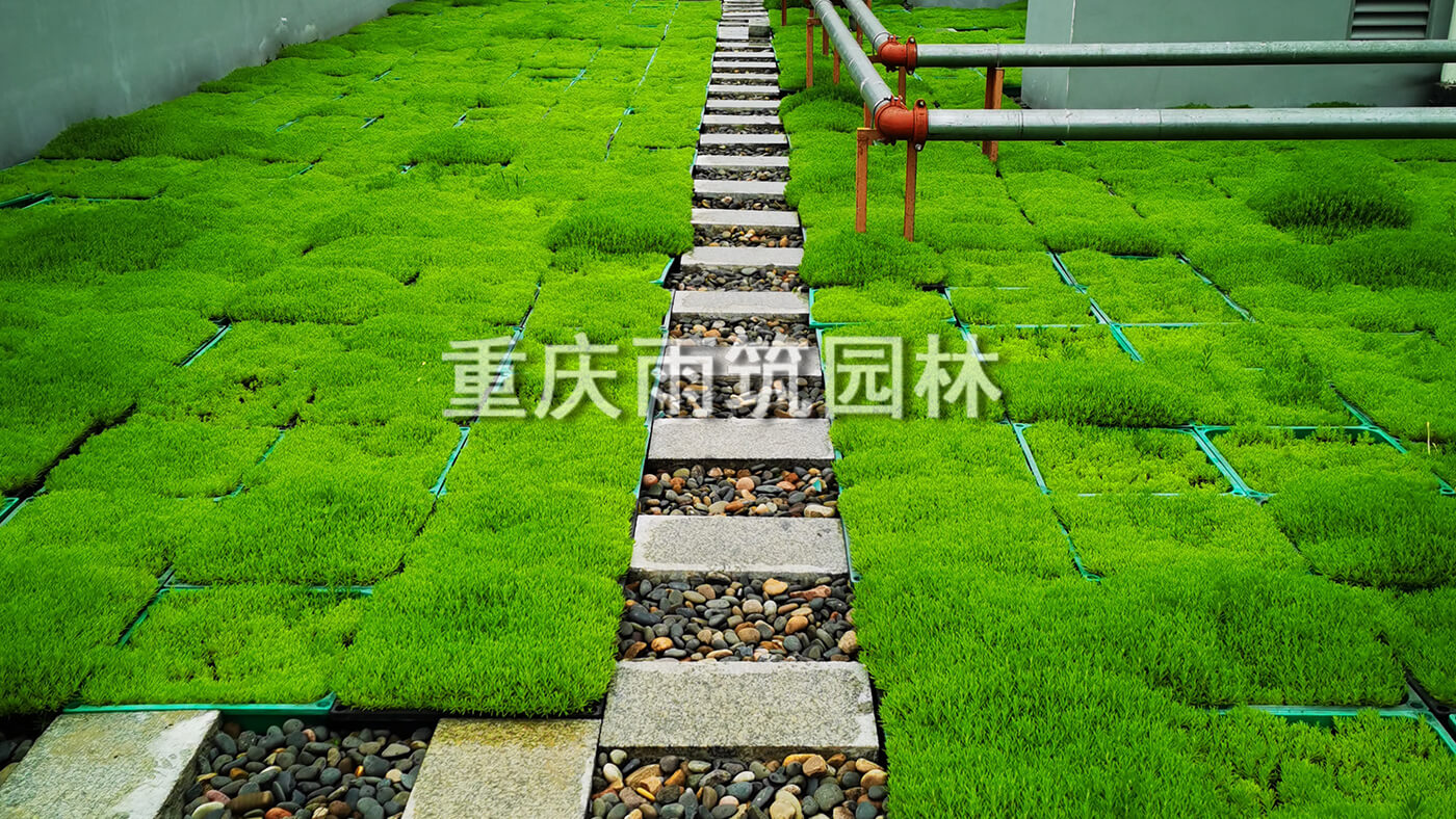 重庆屋顶绿化,重庆立体绿化,重庆轻质屋顶绿化,重庆佛甲草,佛甲草绿化,轻质绿色屋顶营造有生命力的城市第五面｜重庆市两江新区两江中迪广场一期项目