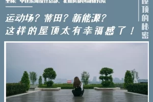 2025年大豆科学施肥指导意见（根瘤菌减量_农业农村...