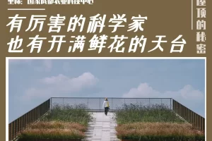 2025年玉米科学施肥指导意见（5大产区_农业农村部...