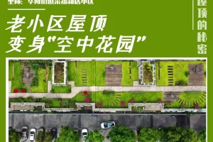 2025年水稻科学施肥指导意见（8大产区_农业农村部...