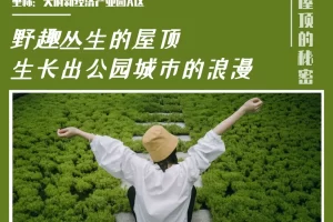 2026年冬小麦春季管理技术意见（4大麦区_农业农村...