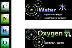 葡萄园有机肥应用案例：土壤改良与果实品质提升方案