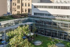 2026年春夏季梨桃荔枝葡萄科学施肥指导意见（4种果...