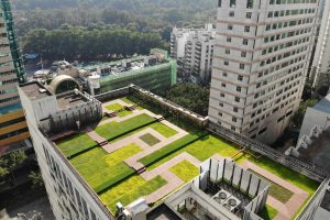 草坪绿化有机肥应用案例：运动场草坪养护与土壤改...