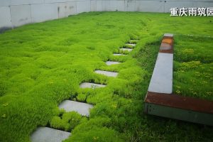 枇杷园怎么施有机肥？秋施基肥方法和用量参考