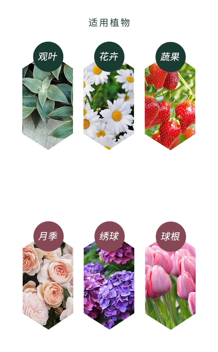 营养土批发