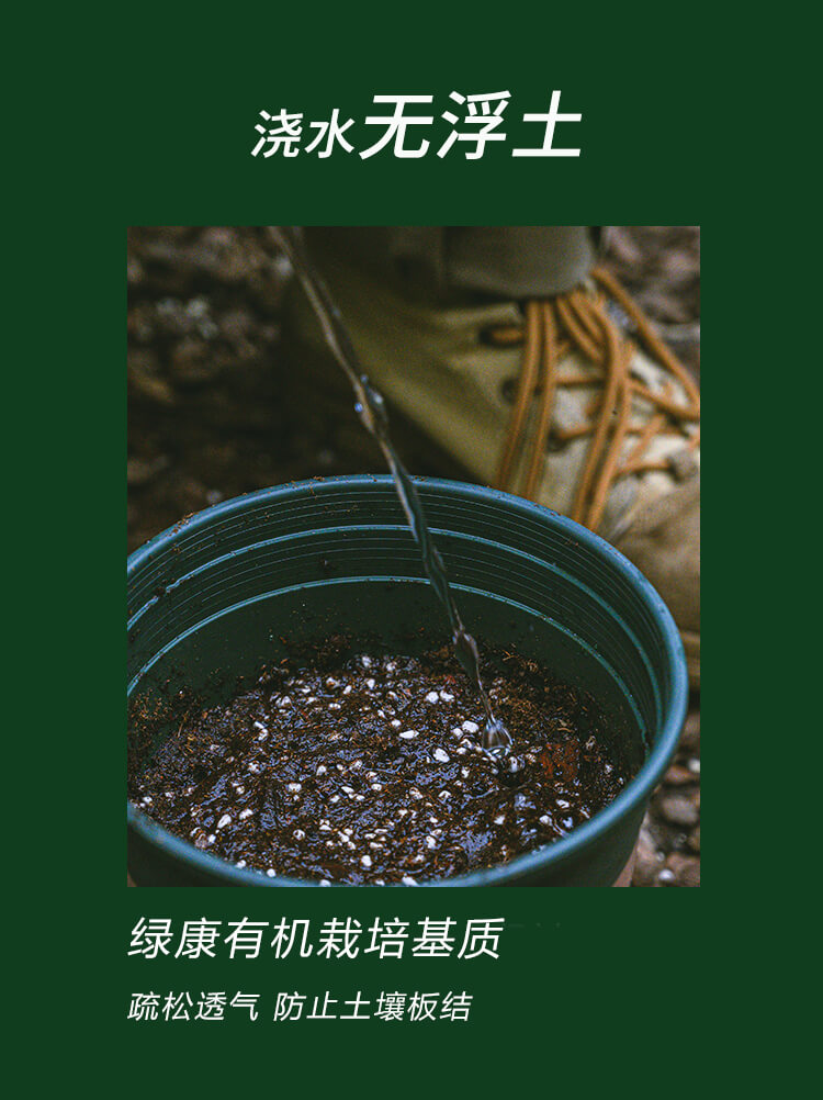 营养土批发_园艺栽培基质