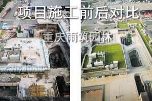 小麦怎么施有机肥？基肥和追肥方法与用量